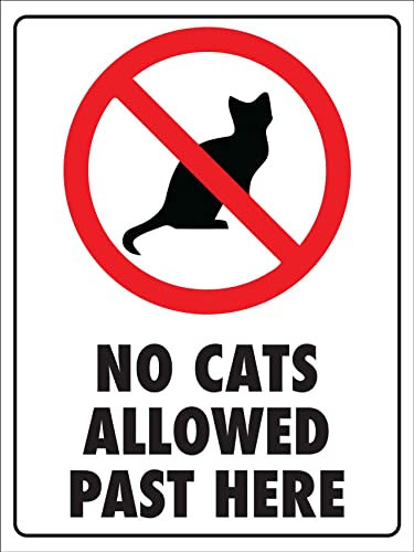 Señal De Advertencia, No Se Admiten Gatos Más Allá De Aquí Letreros De Advertencia Personalizado Cartel De Chapa Metálica Resistente Cartel De Chapa Para Interiores Exteriores,20X30Cm