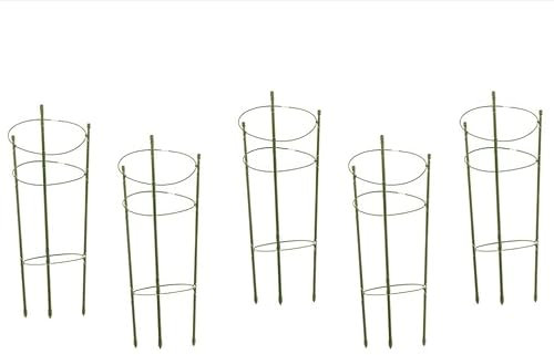 Pack of 5 (48cm / 60cm / 75cm) Conical Garden Plant Support Rings (Pack of 5 60cm)