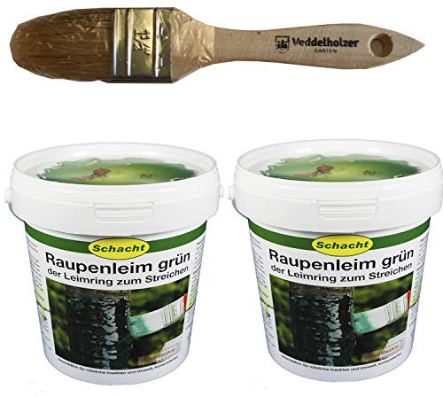 Schacht Raupenleim 2kg Eimer + Veddelholzer Marken-Pinsel 35mm Breit Leimringe für Obstbäume als Baumschutz Baumleimring zum streichen auch Insektenleim genannt