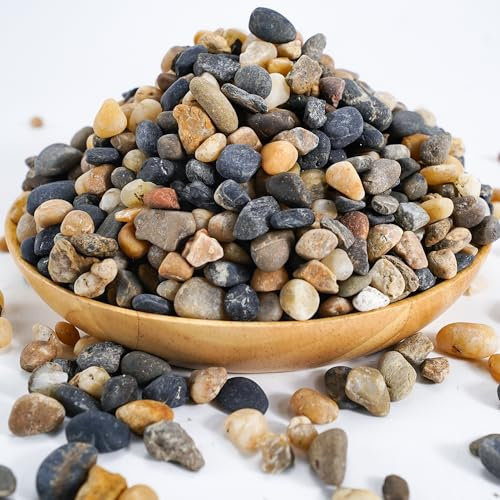 TOYPOPOR 2,7 kg di rocce naturali di fiume, ghiaia di cactus succulente per piante, ciottoli decorativi per bonsai, pietre per fioriere, grana per giardinaggio, vasi di fiori, riempitivi per vasi,