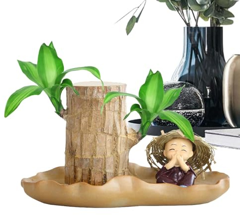 Bois Brésilien - Bois Porte Bonheur avec Figurine Moine | Décoration en Bois Brésilien en Pot | en Bois Brésilien pour Décoration Intérieur et Bureau