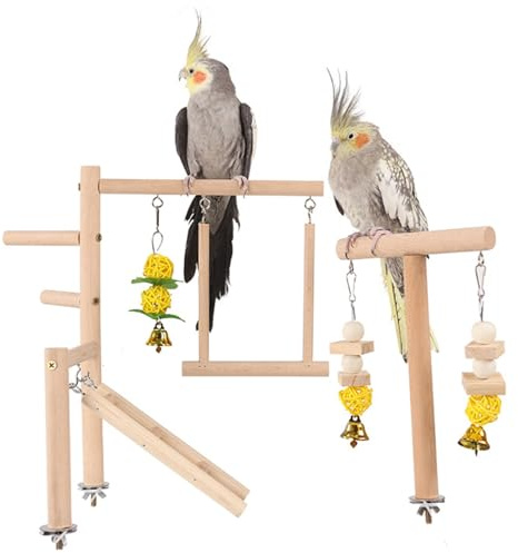 Joygoodta Fågellekplats, naturligt trä fågel abborre stativ, trä papegoja stativ med lekhage stegar Conure tuggbur tillbehör för kakadua nymfparakiter lovebirds undulater papegoja leksaker