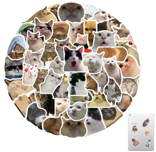 Cute Cat Stickers, 100pcs Funny Cat Stickers Set with Words, Waterproof Vinyl Meme Designs with Peel Off Adhesive for Bottles Laptops Skateboards Luggage Skis Scrapbook Phone Gifts for Cat Lovers