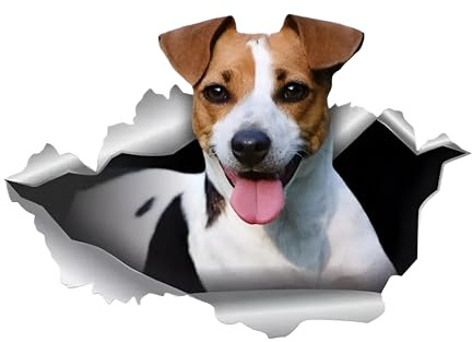 Autoaufkleber Jack Russell Terrier Aufkleber 15cm(5.9 Inch) Jack Russell Terrier Car Sticker 3D Zerrissen Aufkleber Personalisiert Haustier Hund Reflektierende Aufkleber für Laptop Kühlschrank Dekor