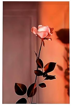 Türvorhang Orange Rosa Türvorhang Insektenschutz Polyester Raumteiler Vorhang mit Teleskopstange Vorhang Kurz Küchenvorhang Fliegenvorhang Terrassentür Waschbar Tür Vorhang 90x200cm