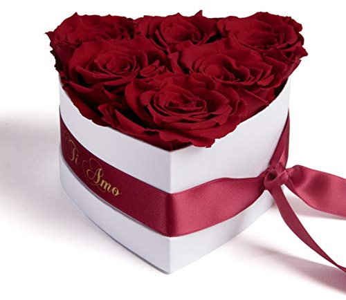 ROSEMARIE SCHULZ Heidelberg Infinity Rosenbox in Herzform konservierte Rosen Geschenk für Frauen (Ti Amo, Burgundy)