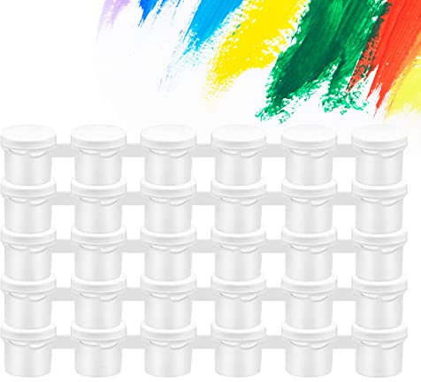 Kiuiom Leere Farbstreifen, Leere Farbtöpfe, Mini Farbtopf, 30Töpfe Leere Farbbecher mit Deckel Pod Streifen Mini Aufbewahrungsbehälter Kunststoff-Farbbecher mit Deckel für Kunstklasse