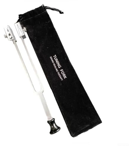 Stimmen Sie jedes Instrument effektiv mit der 128 Hz C-Ton-Edelstahl-Stimmgabel und der stilvollen Tasche (A)