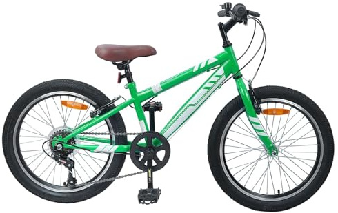 vidaXL Vélo de Montagne 20 Pouces 6-Speed pour 5-8 Ans Vert, Vélo d'aventure, Classique, pour Loisirs, Fitness, Tout-Terrain, guidons réglables, télescopique