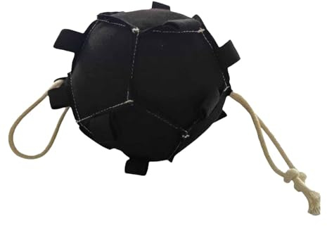 MotiveTech Hängender Futterball für Pferde, Karottenspender Spielzeug, Interaktiver Leckerliball für Nutztiere (Stall, Vieh)