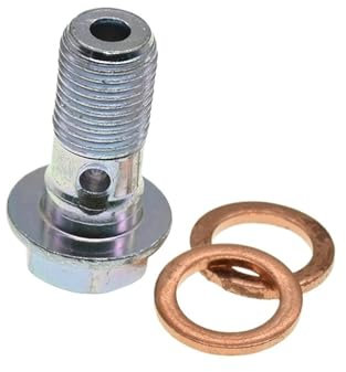 Aqxypas M10*1 Motorrad Bremssattel Hohlschrauben Schrauben mit Dichtungen for Bremsschlauch Hauptzylinder