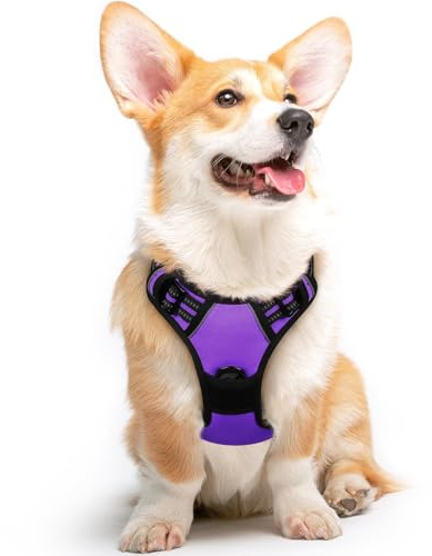 Eagloo Harnais Chien, Harnais Anti Traction pour Chien, Violet, M | avec Poignée Contrôle, Bandes Réfléchissantes, Maille Respirante Solide, Facile à Mettre, Réglable, pour Chiens Moyens Grands