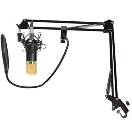Toyvian Studioübertragung USB-mikrofon Mikrofontischhalterung Mikrofonregal Studio-kondensatormikrofon Mikrofon Für Computer USB Tischständer Tischmikrofon Gesangsmikrofon Studio-kit Black