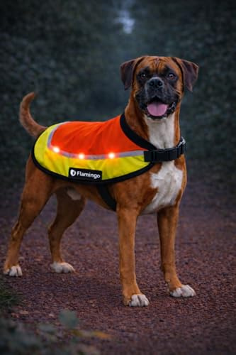 Regenmantel Hund - Sicherheitsweste Simi Fluo orange LED Größe L - 50 cm - wasserdicht - reflektierend - USB-aufladbar