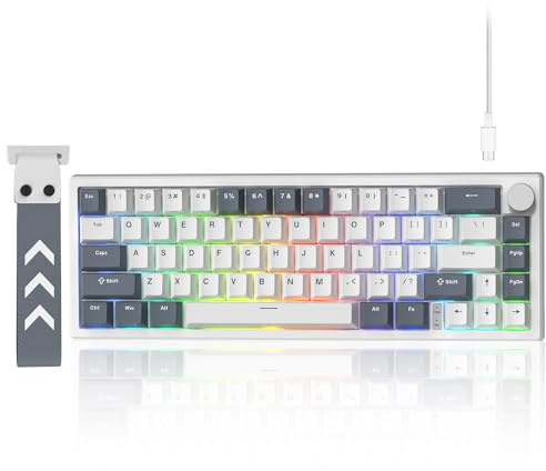 LQXQ VK66 Pro 60% Teclado Gaming con Cable, Teclado mecánico Creamy, Via | Teclado RGB Intercambiable en Caliente con Montaje Gasket y Tapas Transparente (Blanco)