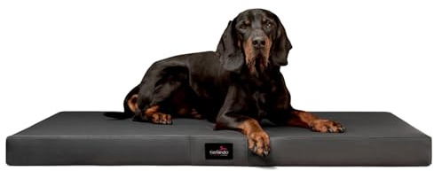 tierlando® Orthopädische Hundematratze Alice Easy CLEAN Kunstleder Visco-Hundematte Größe: 80x60cm | Farbe: 02 Graphit