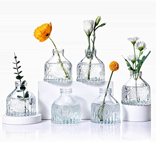 Eidoct Glass Bud Vases Set of 6, Glass Flower Vases Small Bottles | Rustic Decorative Floral Vases for Centerpiece Home Living Room Office or Wedding Event