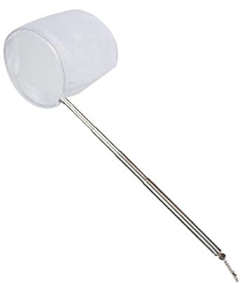 Retino da Pesca Pieghevole Acciaio inossidabile Pesca Atterraggio Atterraggio Acquario Retrattile Acquario Scoop Cattura Astuccio a rete Attrezzatura lunga Piscina Guadino Pesca