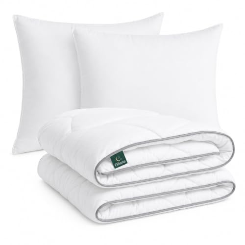 DILUMA 4 Jahreszeiten Bettdecke 4-teilig 2X Bettdecken 135x200 cm + 2X Kopfkissen 80x80 cm Comfort 3in1 - Kuschelweiche & Atmungsaktive Mikrofaser Steppdecke - Oeko Tex® zertifizierte Schlafdecke