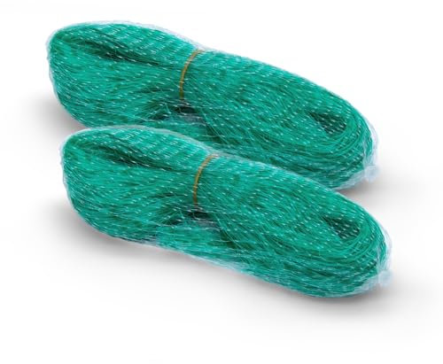 Red de protección para pájaros, color verde, juego de 2 unidades – 10 x 4 m – Malla de protección para plantas de 30 x 30 mm – Red para fresas frambuesa zarzamora arbustos flores bancal red de