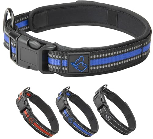 TickTrick Hundhalsband med integrerad fästingbandshållare – träningshalsband för hundar av robust nylon – reflekterande – S–XL – svart, röd, blå – för små och stora hundar (blå, L)