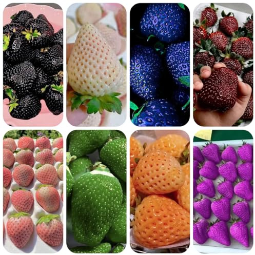 semillas de fresa perenne, fresa, interior fresas colgantes, fresa fresca, resistentes para balcones Decoración 100pcs