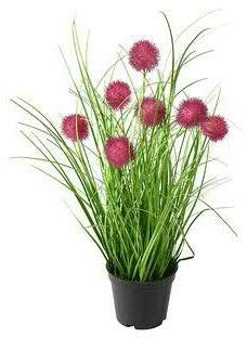 Klocke Kunstpflanzen Dekogras mit Allium im Topf - Neu 2020 - Hochwertig & Naturgetreu - Grasbüschel/Ziegras/Ufergras/Dekogras (Pink, Klein: 40cm)