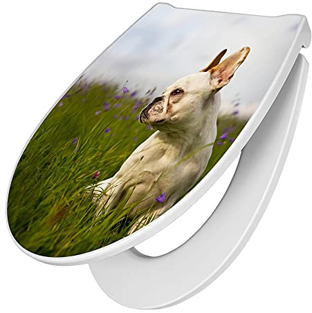 banjado Premium Toilettendeckel mit Absenkautomatik 45x38,4cm / WC Brille Soft Close/hygienischer Toilettendeckel/Klodeckel Duroplast mit Edelstahl Scharnier/Motiv Französische Bulldogge