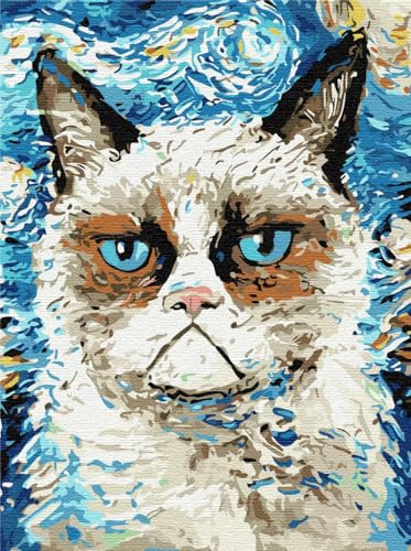 Artnapi Malen nach Zahlen Erwachsene mit Rahmen | DIY Handgemalt | Van Gogh Katze | Kit für Anfänger und Erwachsene | Set inklusive Acrylfarben & Pinsel | 40x50cm Leinwand | Ideal als Geschenk