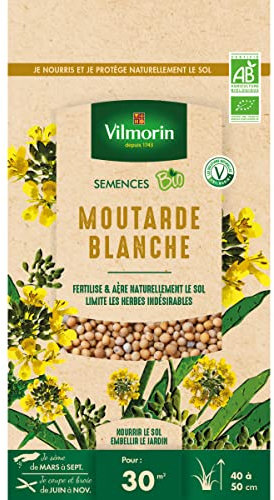 Vilmorin - Graines de Moutarde blanche BIO, sachet de 60 grs