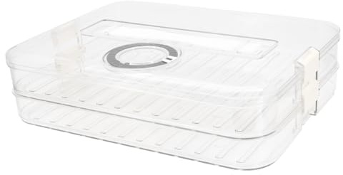 JJoexyfit Contenitore per ravioli congelati a 2 strati, con coperchi e temporizzazione, contenitori piatti per alimenti, ravioli, ciambelle, organizer per frigorifero (2 strati)