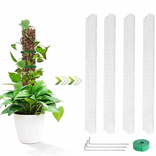 6 pezzi da 61 cm per piante d'appartamento Monstera, asta per piante rampicanti, con supporto in plastica, per piante da interni e rampicanti