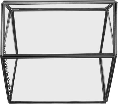 CAXUSD Terrarium en Verre Noir de Maison Mini Serrage Intérieure Géométrique pour Plantes Succulentes et Fleurs Stabilisées Jardinière Décorative de Table Centre de Table Original et