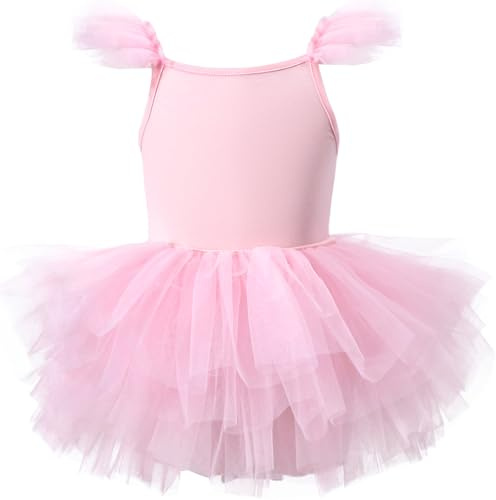 AIEOE Abito Tutu Danza Classica Bambina Ragazza Senza Maniche Cavallo con Bottone per Ragazze 2-4 Anni Rosa B01