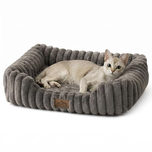 COZY KISS Panier Orthopédique pour Chien et Chat, Lit pour Chat Lavable,S | Canapé en fausse fourrure pour animaux, coussin d'intérieur avec fond antidérapant, surface douce, gris, S(51 x 46 x 15 cm)