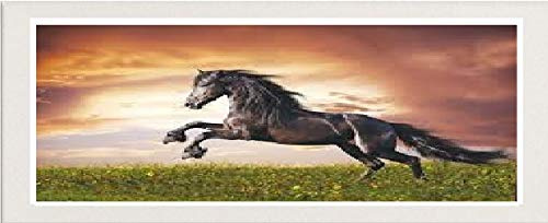 White Panoramic Picture Frame Photo Frame Poster Frame Glass Real Wood 28'' x 8''