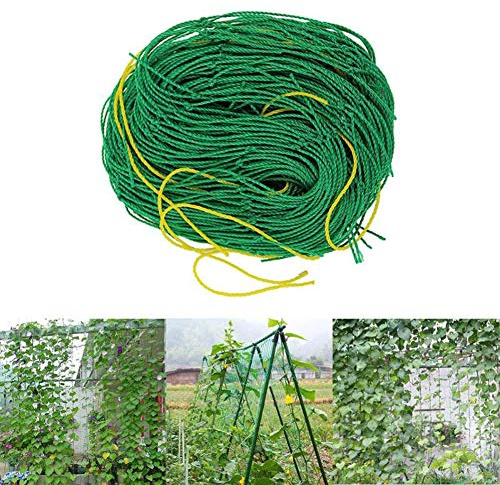 iSpchen Ranknetz mit großer Maschenweite 10 cm für Blumen,Gurken, Tomaten und Anderen Gemüsepflanzen für Kletterpflanzen Garten und Gewächshaus