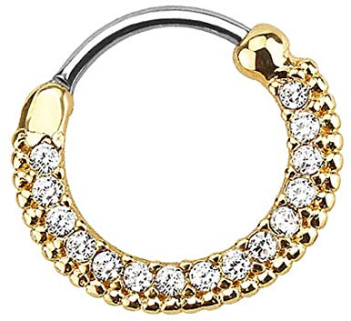 Taffstyle Segment Piercing mit Scharnier Chirurgenstahl mit Kristall für Septum Tragus Helix Nase Lippe Ohr Intim