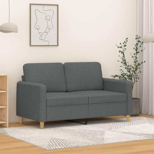 ZEYUAN 2-Sitzer-Sofa Dunkelgrau 120 cm Stoff, Loungesofa, Sofas & Couches, Relaxsofa, Couch für Wohnzimmer, Couch Mit - 359471