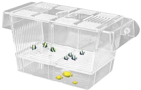 Fisch-Isolierungsbox – Fischzuchtbox – transparente Isolationsbox für den Einsatz im Aquarium, ideal für die Eingewöhnung und Aufzucht von Fischen, perfekt für verletzte Fische, Brüterei-Inkubator und