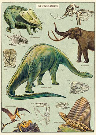Cavallini & Co - Vintage Poster/Schulplakat - Dinosaurier