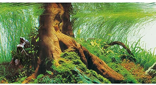 Hobby Fotorückwand Pearl River/Deep Delta - 100 x 50 cm
