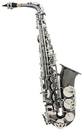 Saxophone Professionnel Silberschlüssel Schwarzlack Komplettset SaxophonAlto Saxophon E Flat Anfänger Saxophon Komplettset