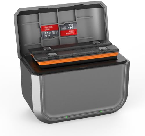 Schnelles Akku-Ladegerät Hub für Insta360 X3 Kamera-Akku, schnelle tragbare 2-Kanal-USB-Typ-C-Ladestation mit Misro SD-Kartensteckplätzen (nur Ladegerät Hub)