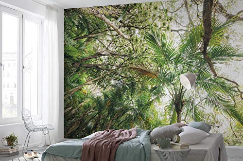Komar - Carta da parati fotografica in tessuto non tessuto Touch The Jungle | Carta da parati XXL, decorativa, natura, paesaggio, camera da letto, soggiorno, ufficio, corridoio, dimensioni 450 x 280 cm (larghezza x altezza) | SHX9-128, multicolore