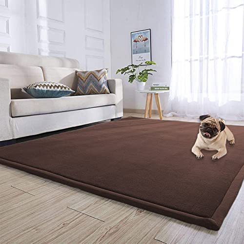 DG Catiee Korallen-Samt-Teppich, große Spielmatte, rutschfeste Krabbelmatte, Bodenmatte, Teppich, Tatami, Yoga, Haustiermatte für Wohnzimmer, Schlafzimmer, Küche (200 x 200 cm, braun)