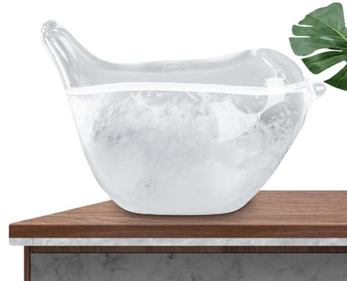 Pronosticador del tiempo de vidrio de tormenta, estaciones meteorológicas de vidrio de tormenta con de pájaro, pronóstico creativo, vidrio decorativo, estación meteorológica de escritorio