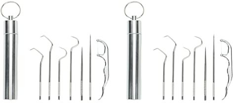 Strumento Per Raschietto Dentale, Stuzzicadenti con Supporto Per Cure Odontoiatriche in Acciaio Inossidabile, Kit di Pulizia Professionale Per L'igiene Dentale, Set di Strumenti Per Igiene Orale con S