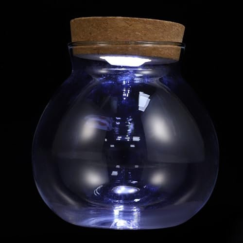minkissy Led Glass Bottle Plant Terrarium Decorative Terrarium Light Fish Tank Lights Aquarium