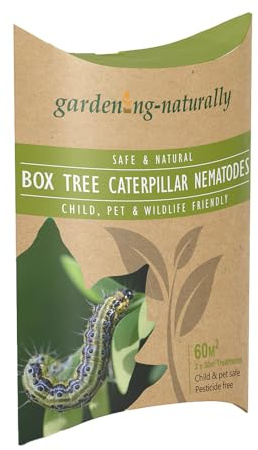 Box Moth Caterpillar Nematodes - 2 Applications, Covers up to 60 sqm, Formulated with Steinernema Nematodes, Effective Caterpillar Control